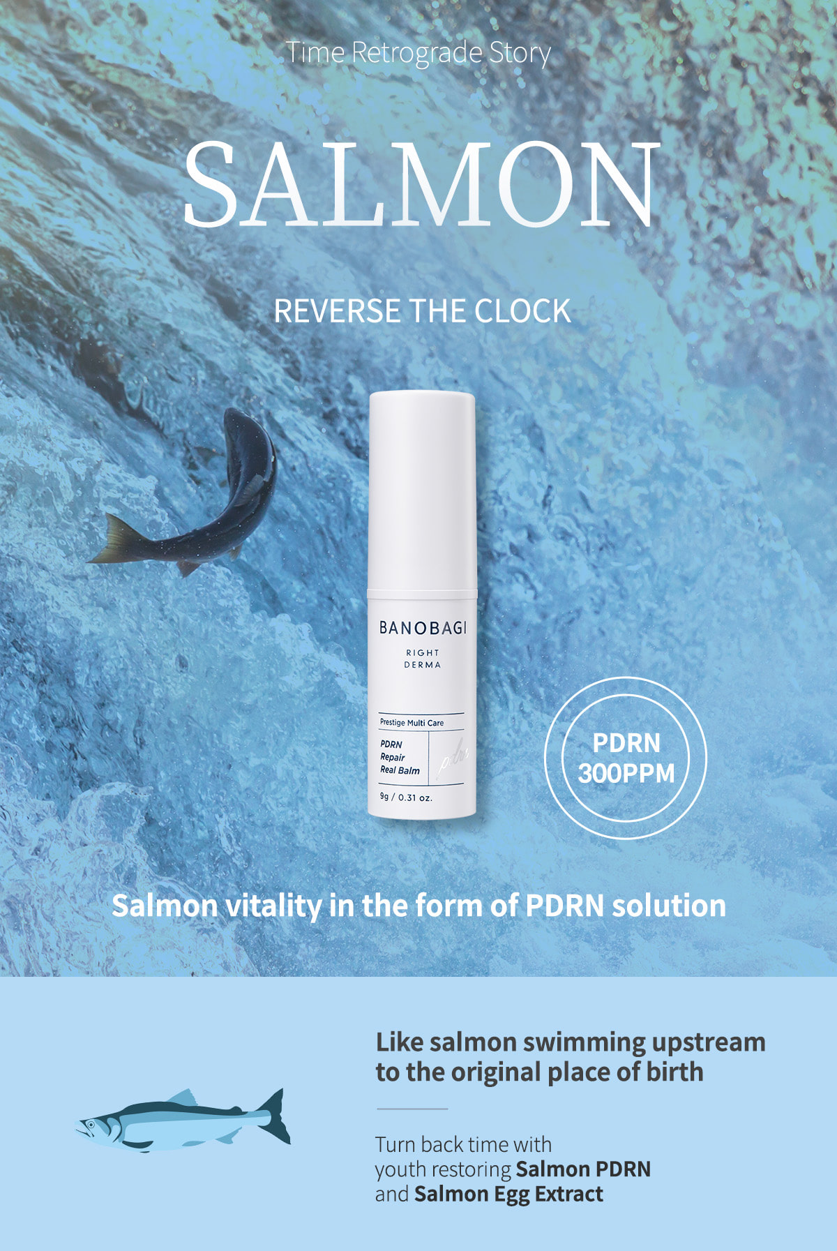 ktown4u.com : [BANOBAGI] PDRN Repair Real Balm 9g (1 USD)