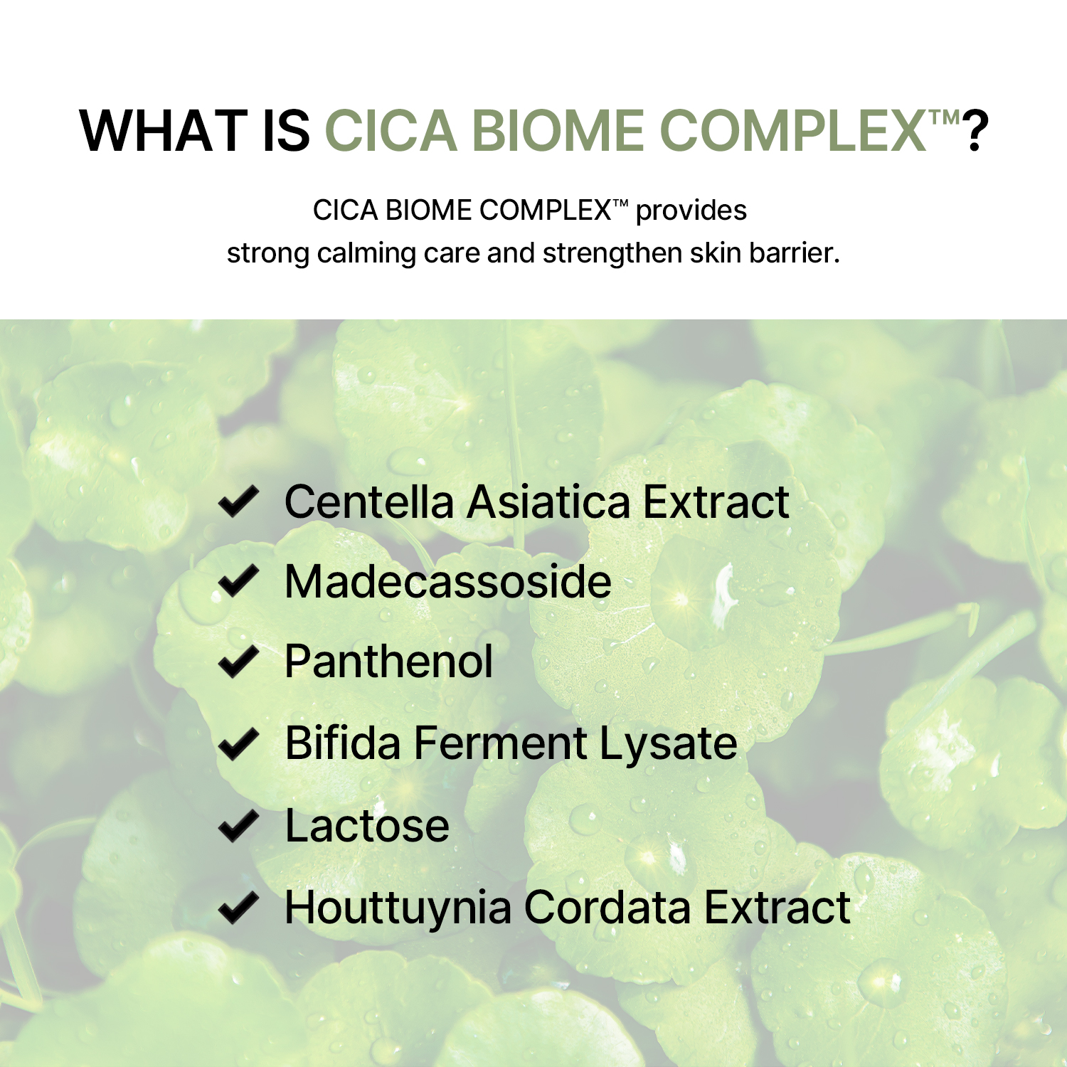【新品未開封】 フォームクレンジングA×2 ネオグリーンオブグリーン×3 ガーゼ CICA SPARKLING WATER CLEANSING FORM｜SHINY cosmeticの効果