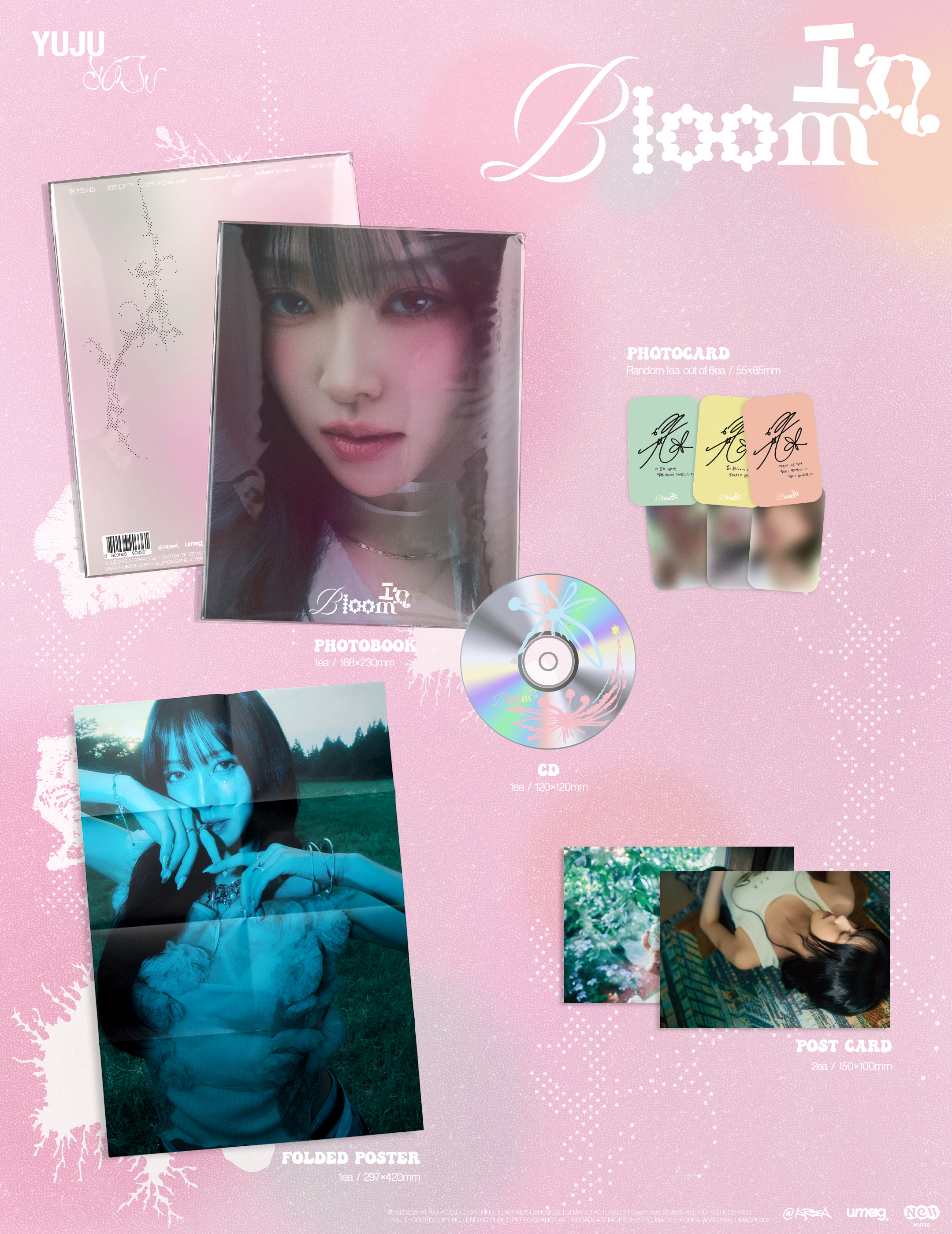 058JUNSU/JEJUNG/YUCHUN/3HREE VOICES〈4枚組〉 Amazon.co.jp: 3HREE VOICES [DVD] : JYJ (JUNSU/YUCHUN/JEJUNG