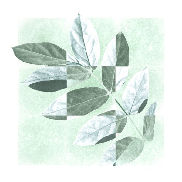 Park Jung Woong - EP Album [여름]