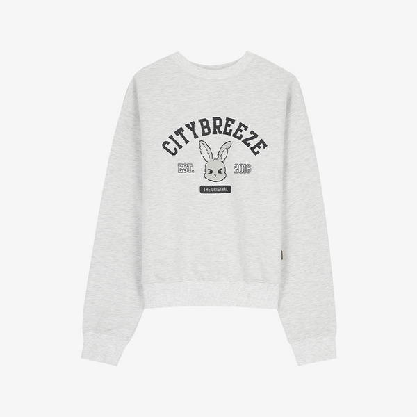 [CITYBREEZE] CITY SNAPPY GRAPHIC SWEATSHIRT_MELANGE WHITE S