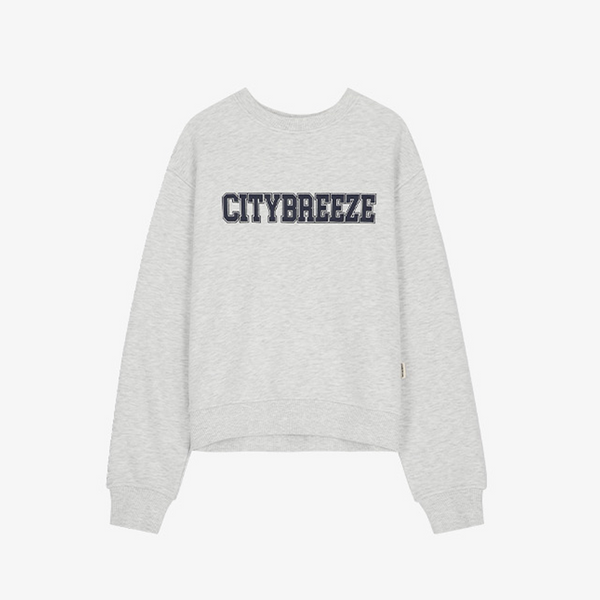 ★送料・関税込★CITYBREEZE★ESSENTIAL BIG LOGO SWEATSHIRTS★ ktown4u.com : [CITYBREEZE] ESSENTIAL HOOD ZIP-UP JUMPER_BLACK S