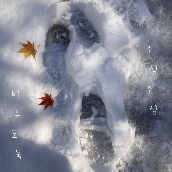 Bi Nu Do Duk - 正規アルバム [조심조심]