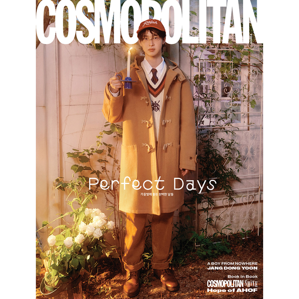 ボテ箱　集英社　cosmopolitan non-no オールドヴィンテージ雑貨 2026年最新】Yahoo!オークション -ボテ箱 レトロの中古品・新品・未