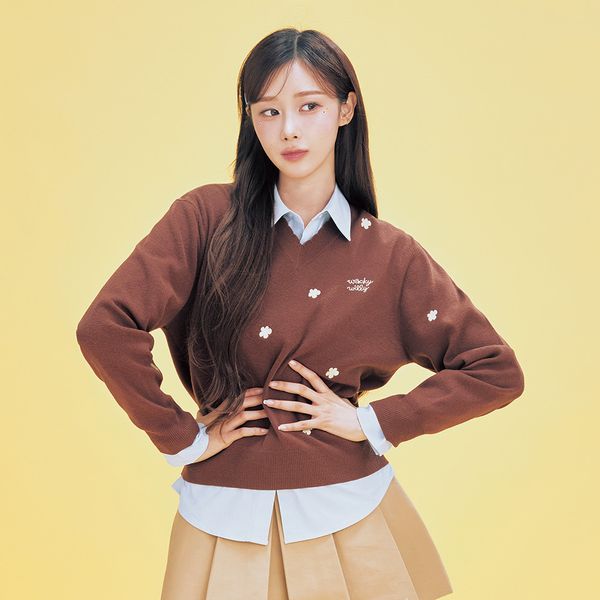 [Wacky Willy] [26SS] Women's V-Neck Pattern Pullover Brown