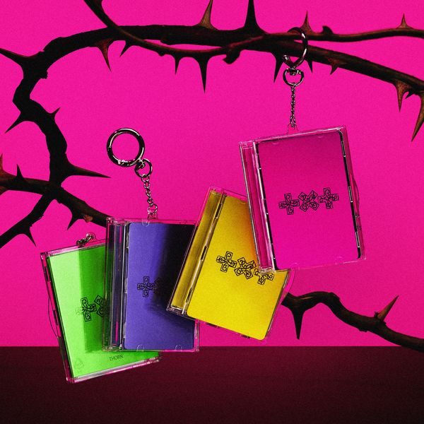 [Ktown4u店舗特典] TOMORROW X TOGETHER - [7TH YEAR: 가시덤불에 잠시 바람이 멈췄을 때] (Photocard Case Ver.) (Random Ver.)