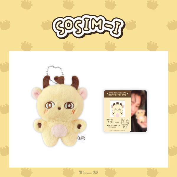PARK JI HOON - PLUSH DOLL KEYRING