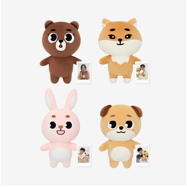 DAY6 denimalz giantデニマルズ DON ドウン ktown4u.com : DAY6 - DENIMALZ PLUSH GIANT Ver. - 2024 The Present