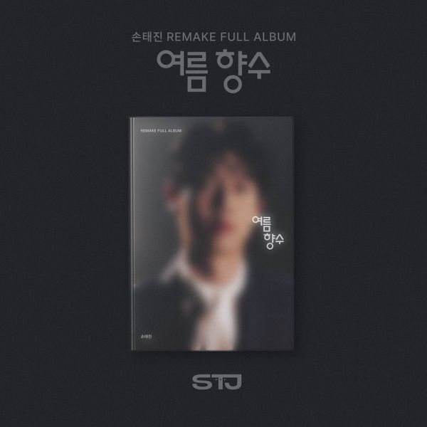 SON TAE JIN - 1st Studio Album Remake [Summer Nostalgia] (PHOTO BOOK Ver.)