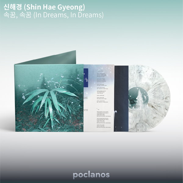 Shin Hae Gyeong - 1st Studio Album [Inside Dream, Inside Dream] (Special Marble Color LP)