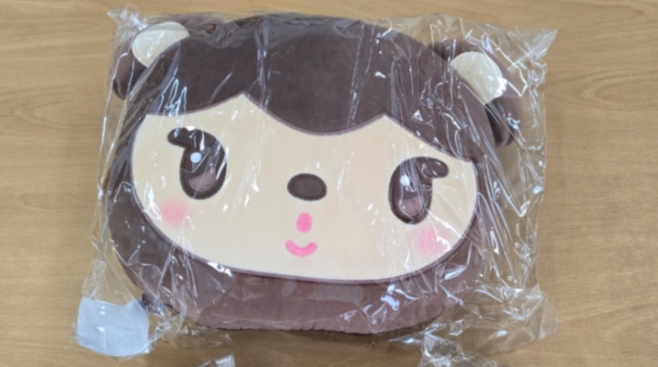 カイ　EXO KAI NINIBEAR ニニベア　クッション ktown4u.com : review detail_KAI - [SOLO CONCERT TOUR [KAION] MD