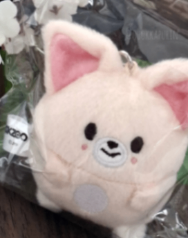 ktown4u.com : review detail_Stray Kids - [SKZOO X ZOOTOPIA2 POP-UP