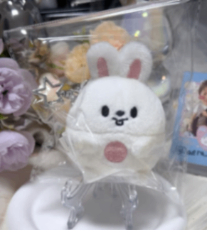 ktown4u.com : review detail_Stray Kids - [SKZOO X ZOOTOPIA2 POP-UP