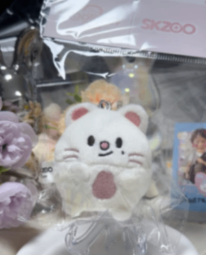 ktown4u.com : review detail_Stray Kids - [SKZOO X ZOOTOPIA2 POP-UP