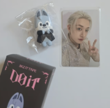 ktown4u.com : review detail_Stray Kids - [DO IT] SKZOO FIGURE